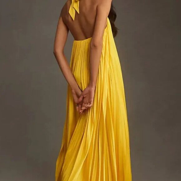 Hutch Halter Pleated Maxi Dress from Anthropologie - Picture 3 of 3